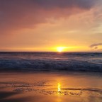 Thoughts from the Dish Pit