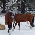 Credit Where it’s Due