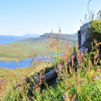 Anything and Everything