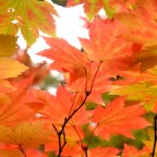 Stranger than Fiction