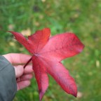 Goodbye, but not Good Riddance